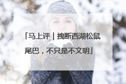 马上评｜拽断西湖松鼠尾巴，不只是不文明